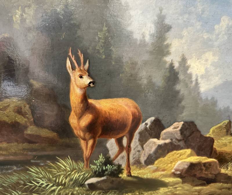 hohe - chevreuil palombo