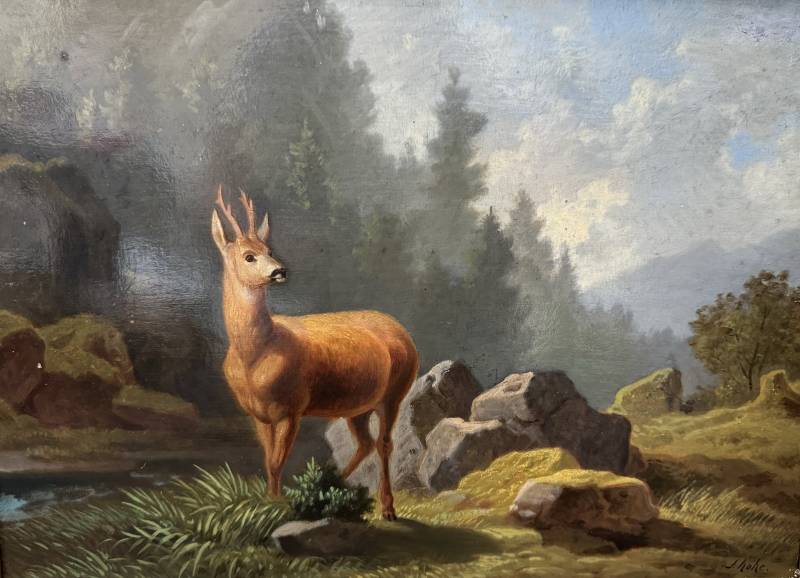 hohe - chevreuil palombo