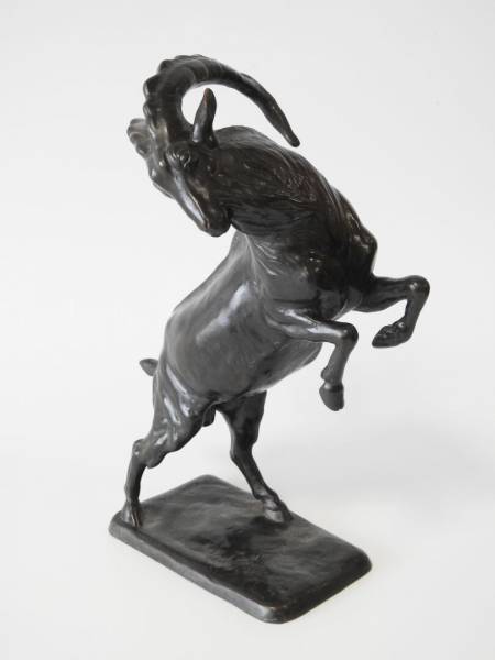 Rudolf KAESBACH (1873-1955) Grand bouquetin cabré