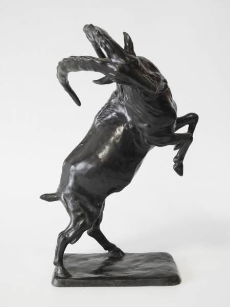 Rudolf KAESBACH (1873-1955) Grand bouquetin cabré